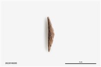 藏品(魚卡子)的圖片